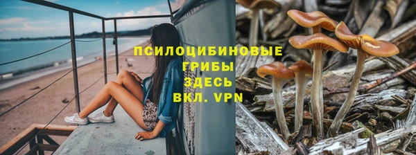 винт Абинск